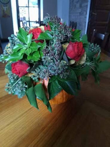 IMG_20181104_120619.jpg