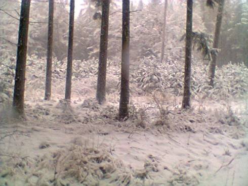Foto.0516.jpg