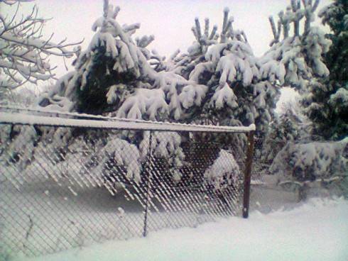 Foto.0524.jpg