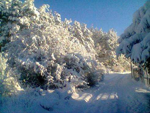 Foto.0534.jpg