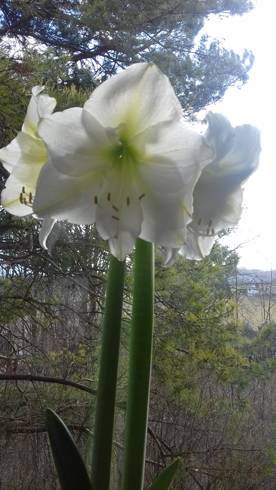 20190220_145917.jpg