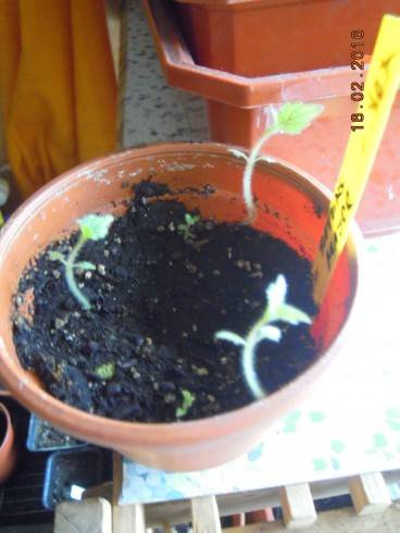 DSCN6837.JPG