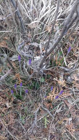 20190305_145501.jpg