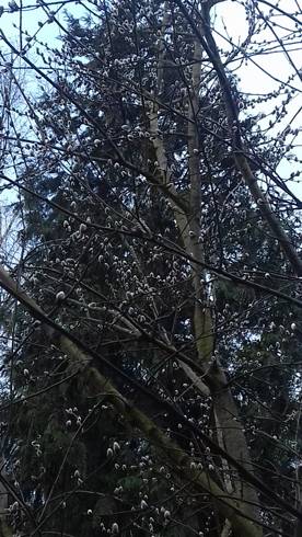 20190305_145845.jpg