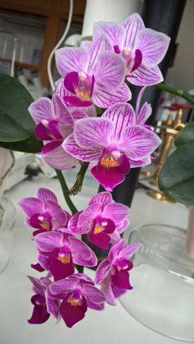 WP_20160202_09_47_58_Pro.jpg