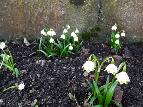 20190317_092545.jpg