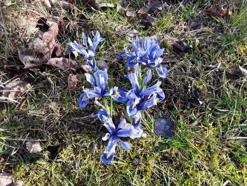 20190317_091213.jpg