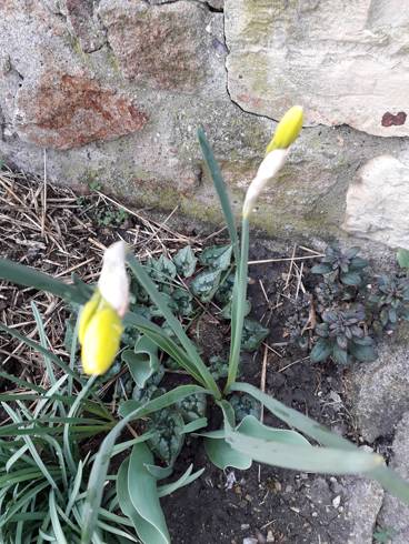 20190331_164644.jpg