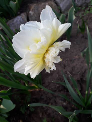 20190331_164708.jpg