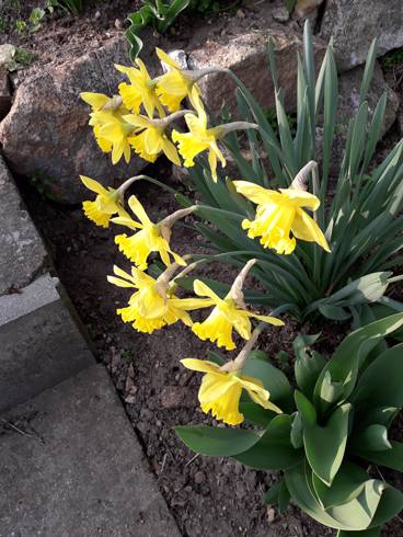 20190331_164716.jpg