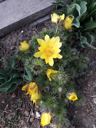20190331_164739.jpg