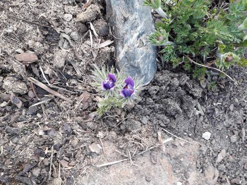 20190331_164826.jpg