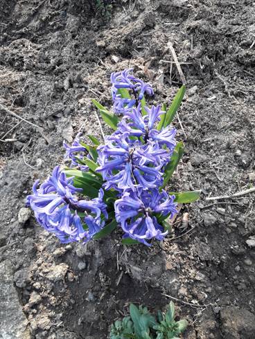 20190331_164752.jpg