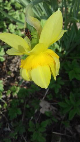 20190405_145319.jpg