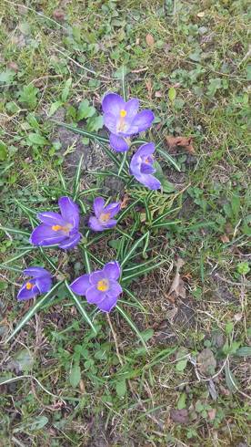 20190405_145356.jpg