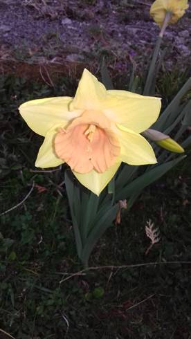 20190409_185931.jpg