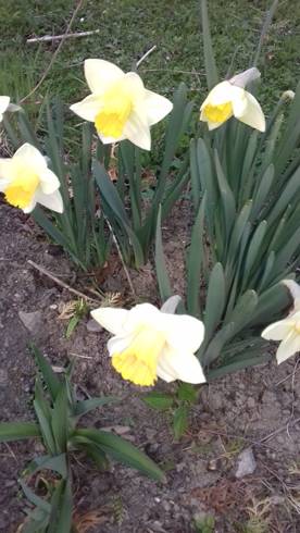 20190409_190027.jpg