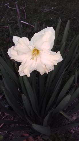 20190409_190040.jpg