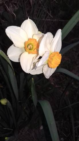 20190409_190118.jpg