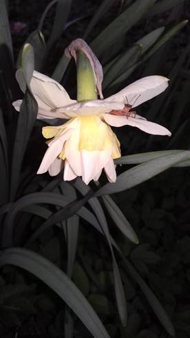 20190409_190303.jpg