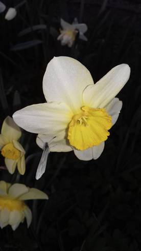 20190409_190353.jpg