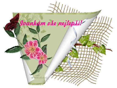 šablona.png