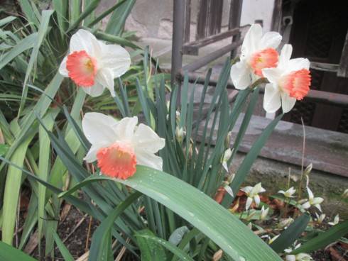 IMG_2585.JPG