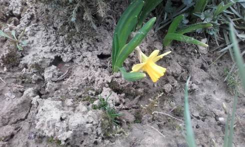 20160407_175644.jpg