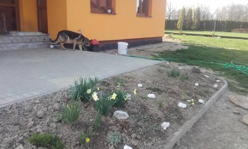 20160405_171907.jpg