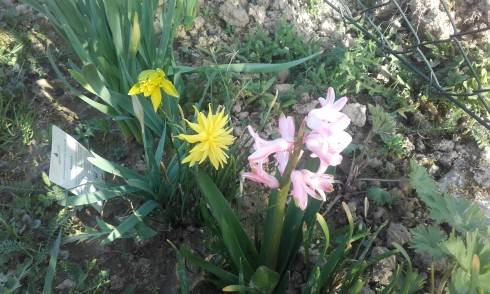 20160405_171645.jpg