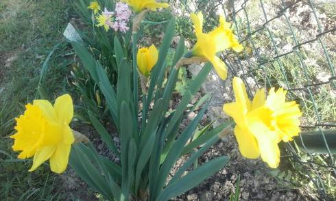20160405_171632.jpg