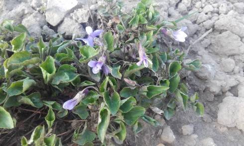 20160405_171609.jpg