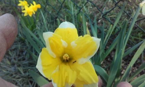 20160403_174506.jpg