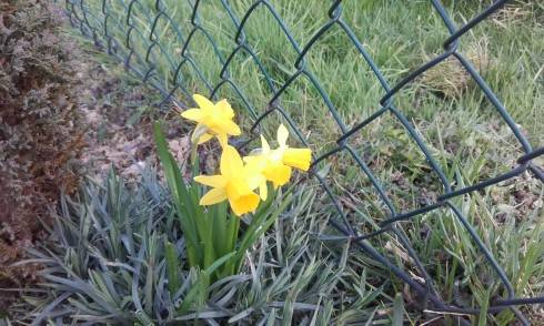 20160403_174456.jpg