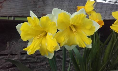 20160403_174315.jpg