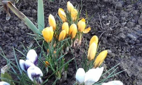 20160323_173109.jpg