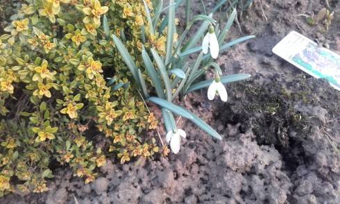20160316_173615.jpg