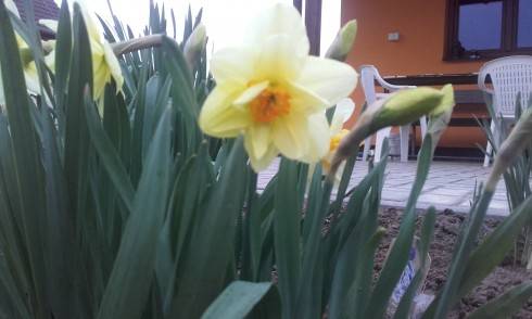 20160412_190841.jpg