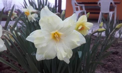 20160412_190836.jpg