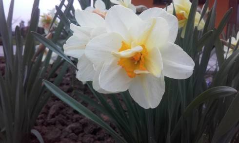 20160412_190832.jpg