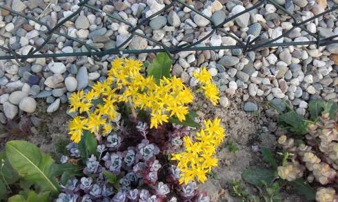 20160524_193618.jpg