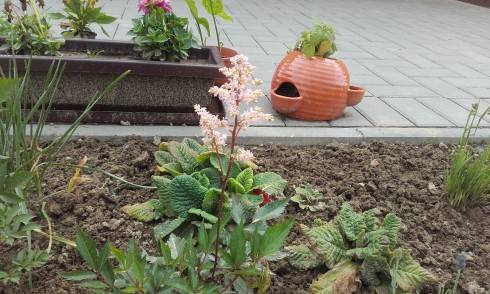 20160530_173218.jpg