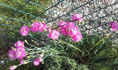 20160530_173124.jpg