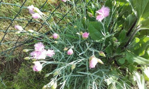 20160530_173115.jpg