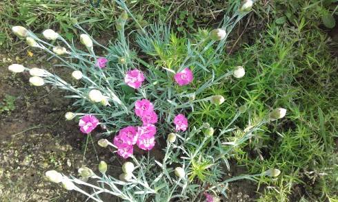 20160530_173108.jpg