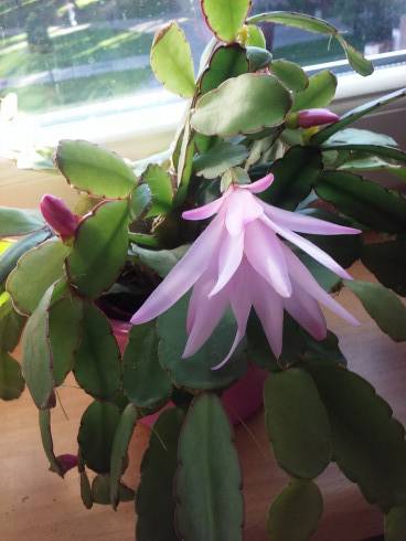 20160606_182455.jpg