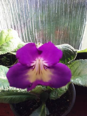 20160607_062508_Burst01.jpg