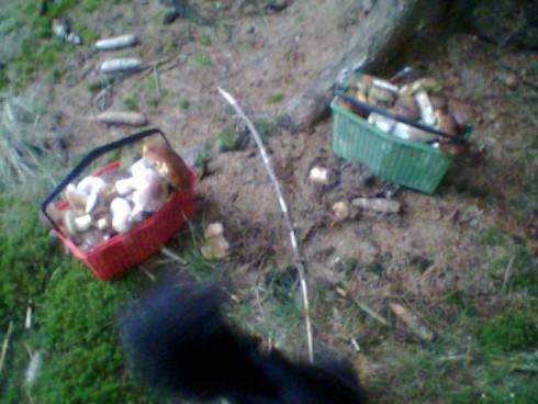 Foto.0118.jpg