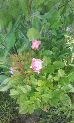 20160613_183358.jpg