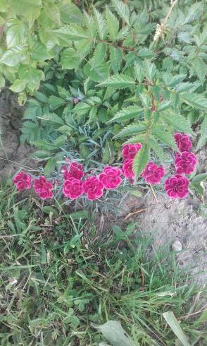 20160613_183402.jpg